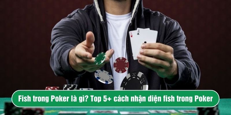 Fish trong Poker là gì? Top 5+ cách nhận diện fish trong Poker
