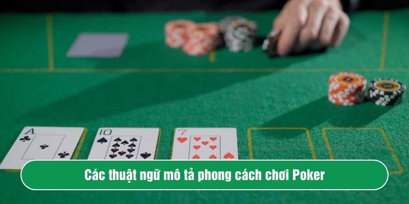 Các thuật ngữ mô tả phong cách chơi Poker